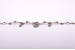 Collier um 1880